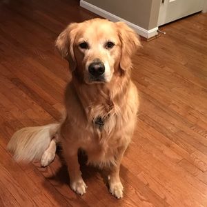 Meet your Posher, Kelly